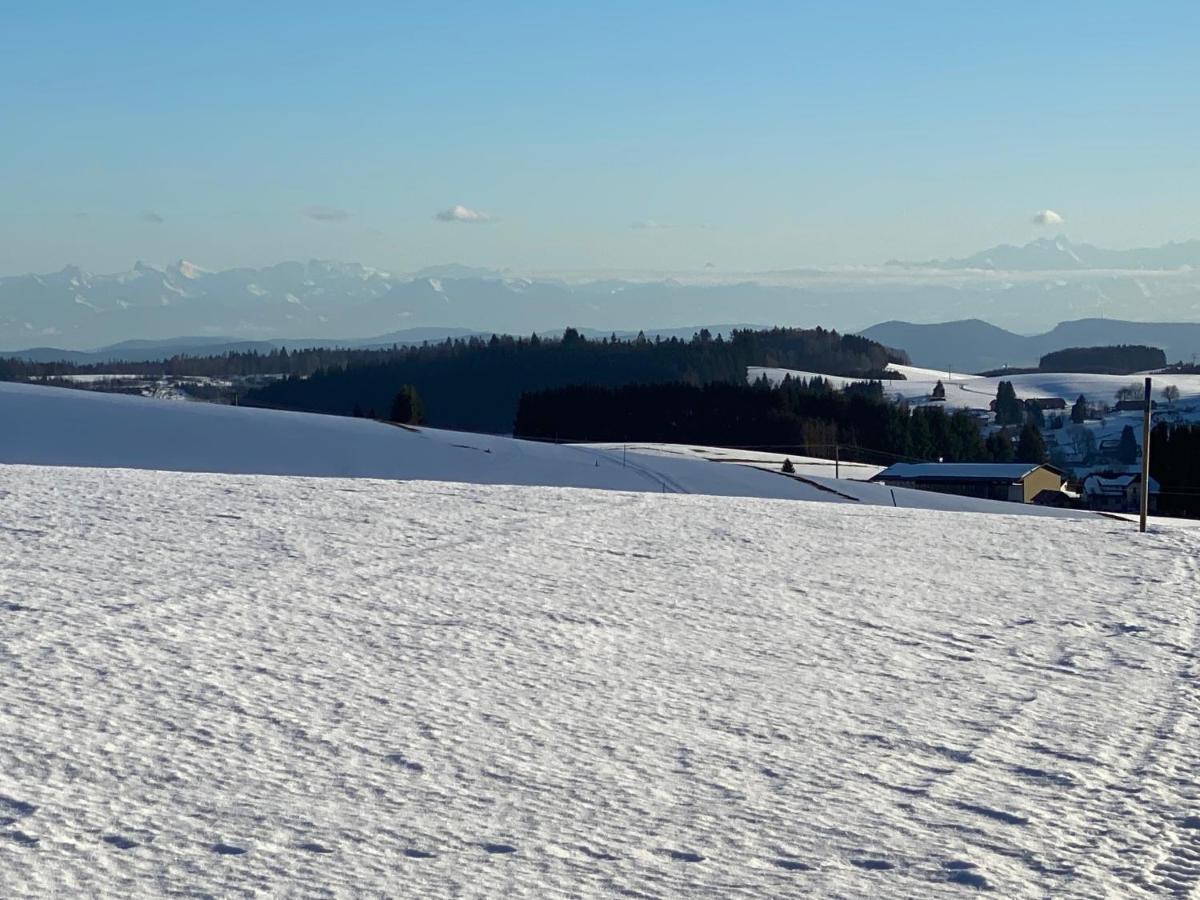 Appartement Bergwaerts Rickenbach  Екстериор снимка